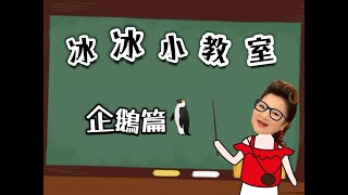 【冰冰姐南極精彩探險之旅】冰冰小教室👩‍🏫