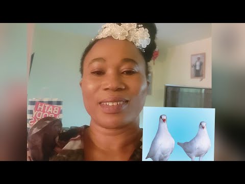 Le Ou Reve Pigeon Dapres La Bib 