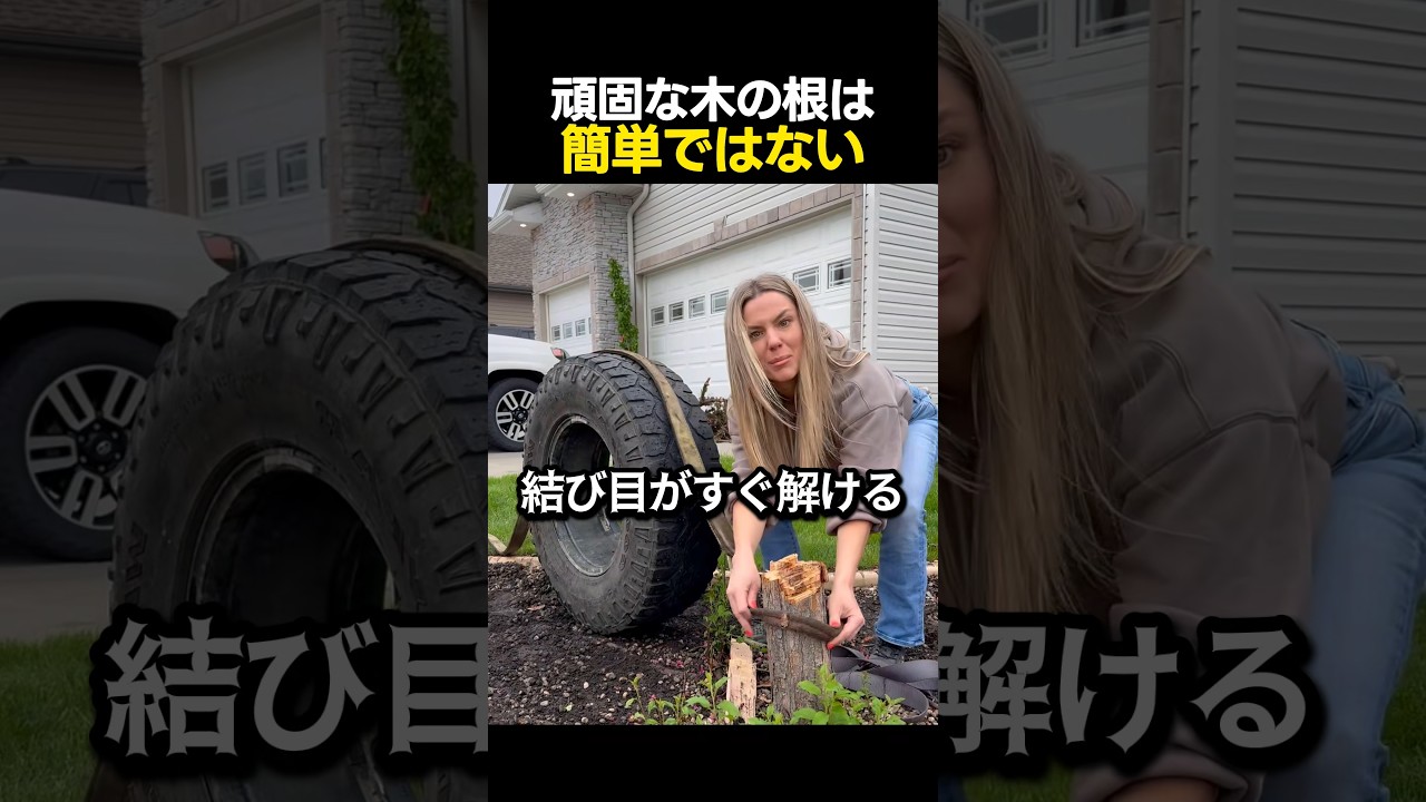 頑固な木の根は簡単ではない