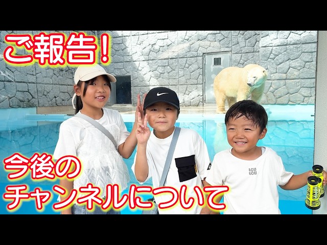 いつも応援してくださる皆様へ【今後の活動と動画整理について】