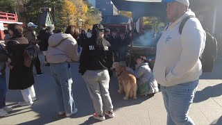 the first time? Why did it become so popular in the big city? [golden retriever japan]