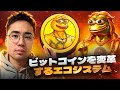 Bitcoin Pepeはビットコインを変革するエコシステムである!