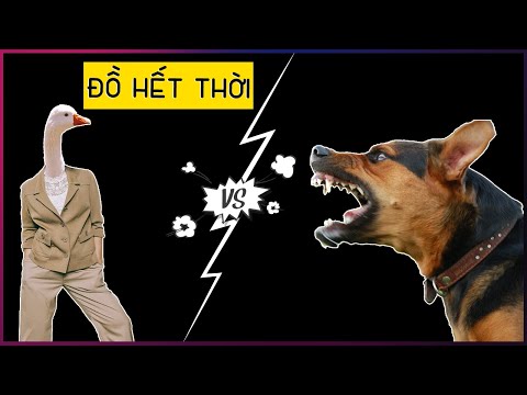 Video: Ngỗng Trong Vườn - Điều Khiển Ngỗng Trong Vườn Nhà