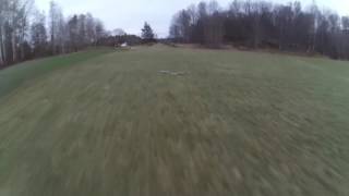 Fpv Dog Fight