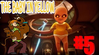 THE BABY IN YELLOW | NIGHT 5