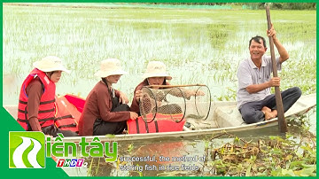 Làm du lịch sinh thái mùa nước nổi | Miền Tây THDT2