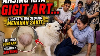 ANJING GALAK KARENA NAHAN SAKIT ‼️ SEMUA ORANG DIGIGIT