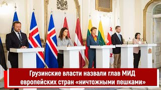 Грузинские власти назвали глав МИД европейских стран «ничтожными пешками»
