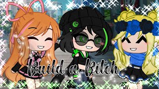 Build a B*tch meme (Ppg x Rrb) ❤