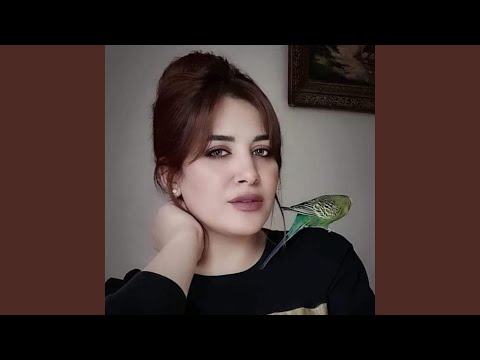 بيكبر سنه سنه شيراز حسني