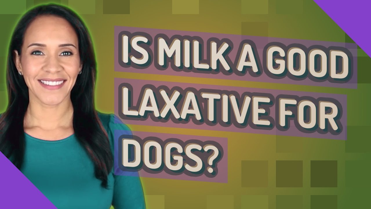 Is milk a good laxative for dogs? YouTube