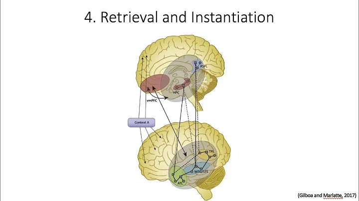 7.4. Retrieval and Instantiation, Fundamentals of Cognitive Neuroscience Course, Session 7, Part 4