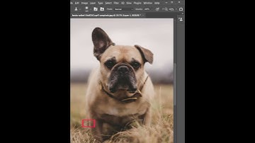 Clone Source - Short Photoshop Tutorial