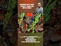 Pepper Pot Day! | Dr.K.A.Mohanadass | AAA Clinic® #pepper #pot #day