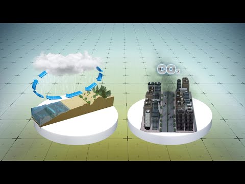 Climate change affecting soil&rsquo;s ability to absorb CO2