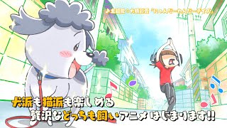 TVアニメ「犬と猫どっちも飼ってると毎日たのしい」番宣CM 犬くんver