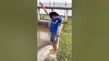 Đi cả Buổi Câu Cá Rô Phi Siêu To #trainghiem