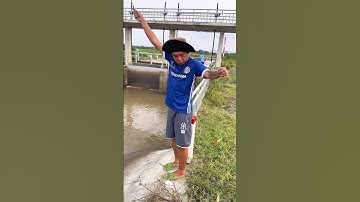 Đi cả Buổi Câu Cá Rô Phi Siêu To #trainghiem