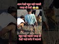 Aaj Dekho ketani badi machli pakd li #viral #fish #agriculture #facts #farming #fishing #freefire 😱😱