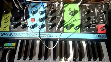 Moog Grandmother Patch/sound Design Tutorial Episode 1