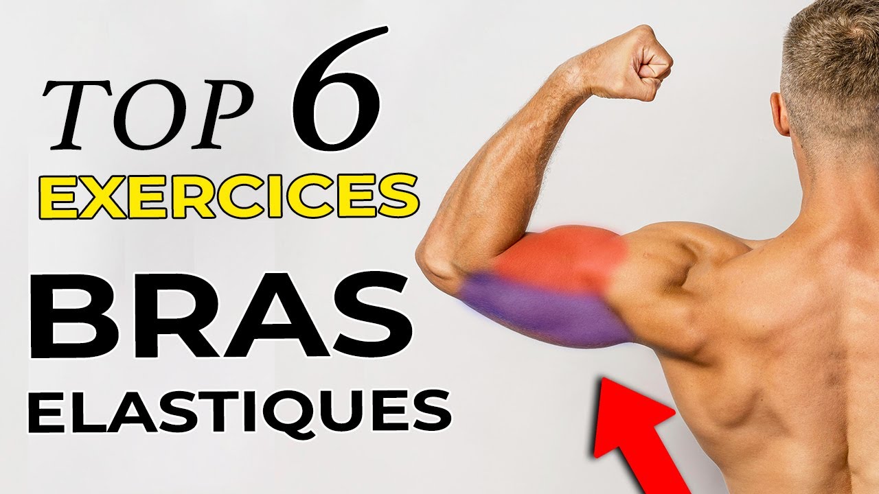 Top 6 des exercices de musculation avec élastiques à poignées – Fit  Super-Humain