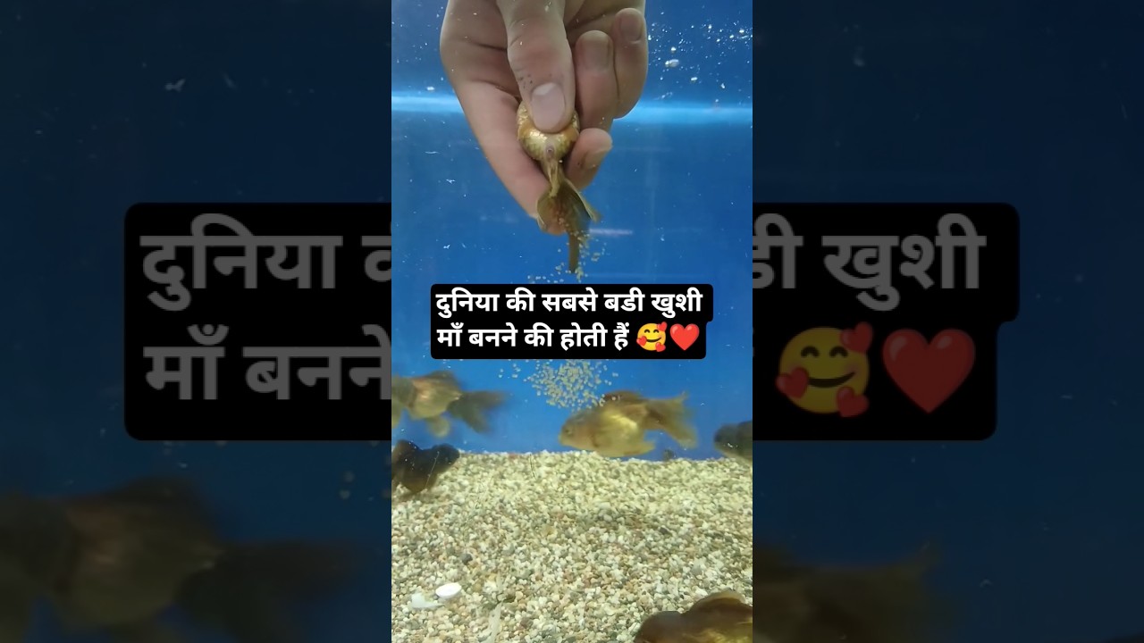 Love the process 🥰 love u maa❤️ 