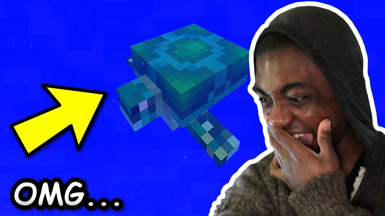 Minecraft TURTLES ARE COMING! NEW MOB SNEAK PEAK! Aquatic  Minecraft TURTLES ARE COMING! NEW MOB SNEAK PEAK! Aquatic