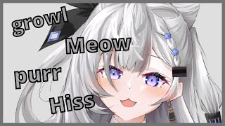 Zeta Imitates Different Sounds Of Cat With A Bonus Hi Honey