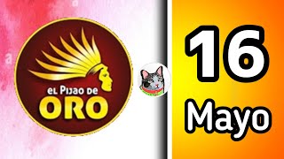 Resultado PIJAO DE ORO Jueves 16 de Mayo de 2024