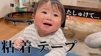 赤ちゃん動画 Youtube