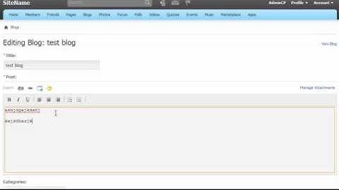 Blog Draft BUG - Publishes Draft without clicking 