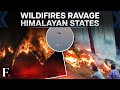 Jammu &amp; Kashmir, Himachal Pradesh &amp; Uttarakhand Battle Wildfires | FP Video