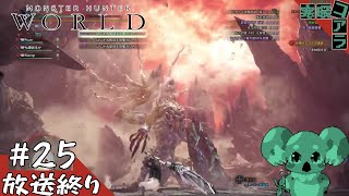 【MonsterHunter:World】渡りの凍て地にて古龍に謁見せよ：24【steam版】