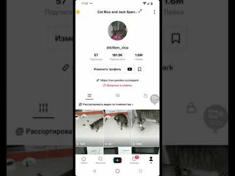 Чем отличается авторский аккаунт от бизнес аккаунта в ТикТок