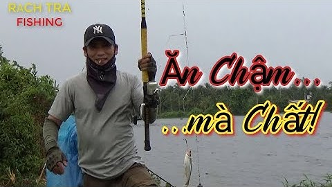 CÂU CÁ SÔNG SÀI GÒN NGÀY MƯA NƯỚC ƯƠNG...