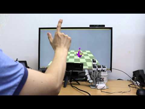 Robot Hand Control by 3D Hand Tracking using a Kinect V2