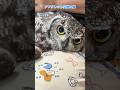 アンクレット交換＆メンテナンスの儀 #owl #フクロウ