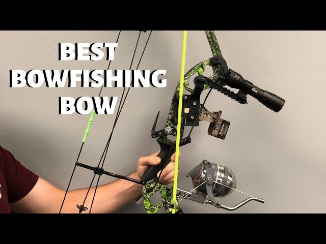 Best Bowfishing Bow (Advanced Bow Gear Setup) 