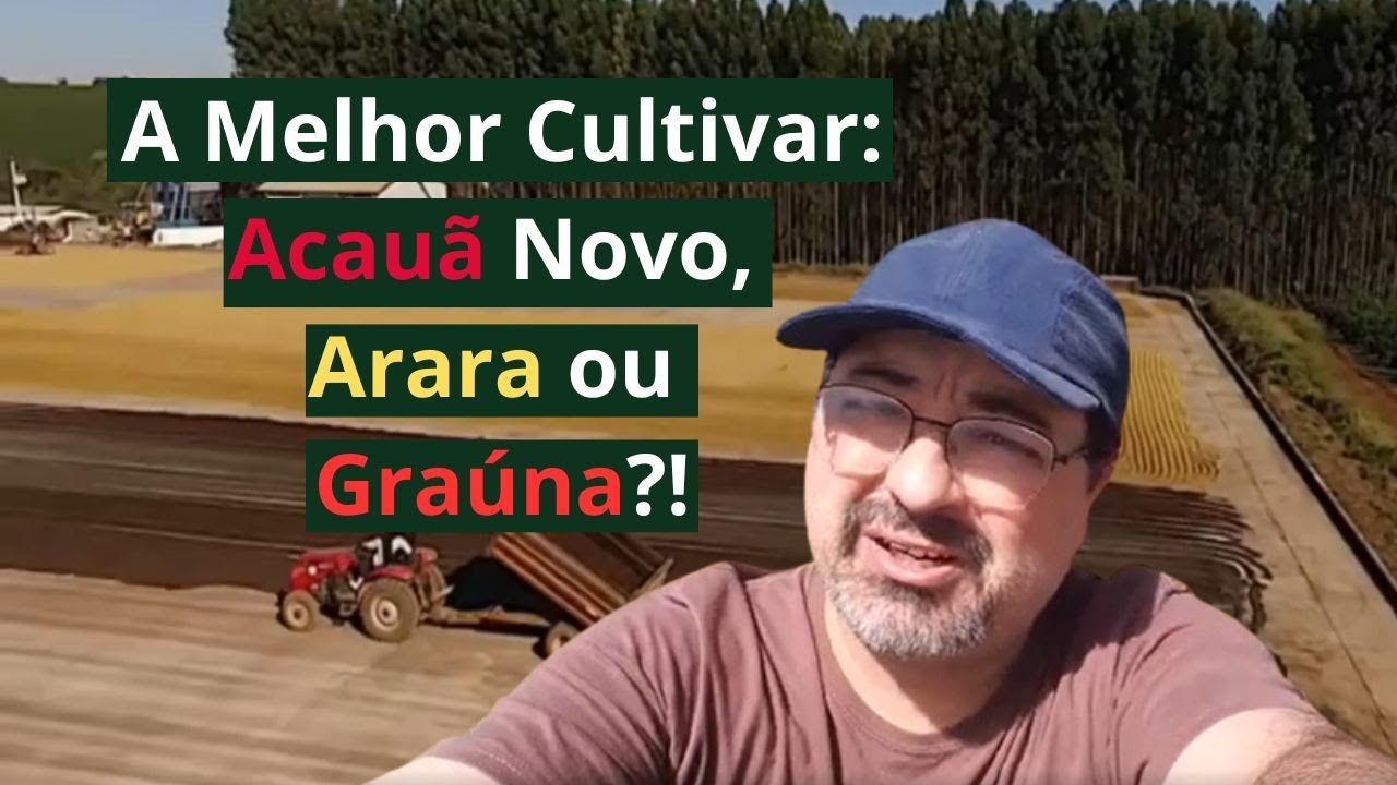 Como escolher a Melhor Cultivar: Café Acauã Novo, Arara ou Graúna – Qual a Melhor para Sua Região?