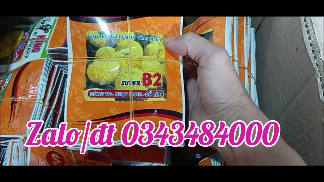 Hạt giống vạn thọ B2PRO#B3PRO#b2b #hatgiong MUA HÀNG ZALO/DT 0343484000