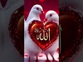 HAI TERE ARAB BAADOR HAI RAB❤🥰 #allah #rab #islamicstoriesinurduandhindi #nabi #allah #photoshoot