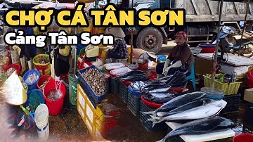 Chợ Cá Cảng Tân Sơn Thái Thụy Hưng Yên ( TT Diêm Điền Thái Bình ) Đầu Mối Hải Sản Tươi Sống Giá Rẻ 