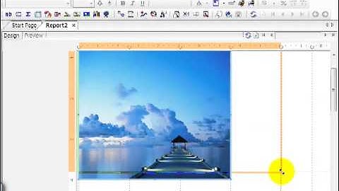 35 Crystal ReportsXI Design a Report Beyond the Basics 2   Graphic Files
