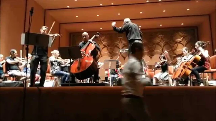 Jonathan Swartz, violin/Catalin Rotaru, bass - Moz...