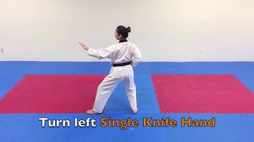 Taegeuk 3   Taegeuk Sam Jang