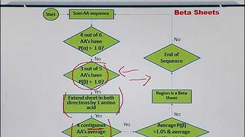 Topic 213 (BIF401 - Bioinformatics I)