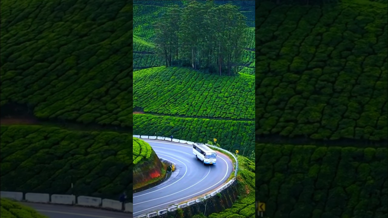 Scenic Gap Road Munnar 🌄 | Kerala’s Most Beautiful Hill Drive!