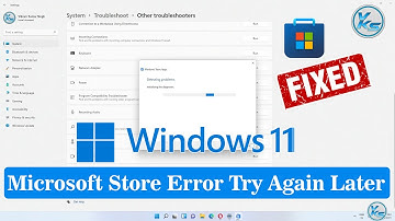 ✅ Microsoft Store Error Try Again Later in Windows 11 Computer