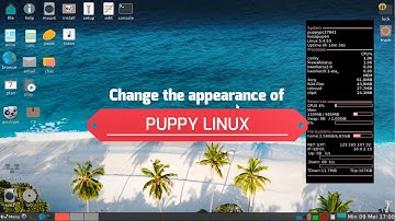 Puppy Linux: Change Appearance