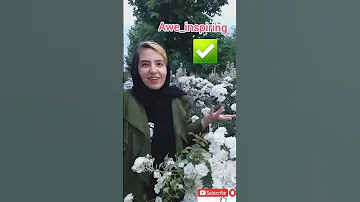 با این کلمات اگزمینر آیلتس رو سورپرایز کن IELTS Speaking 